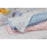 Interbaby Disney Κουβέρτα Αγκαλιάς 80X110 Blue